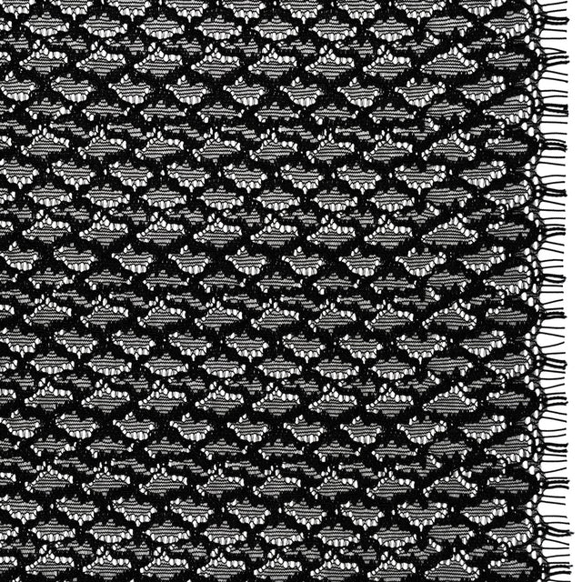 Corded Lace with Finished Eyelash Edges - Black Diamond Lattice