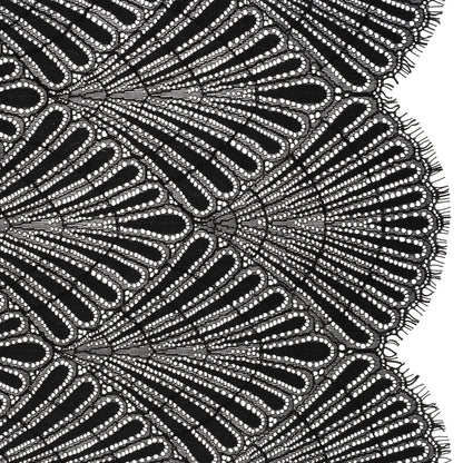 Corded Raschel Lace Panel with Finished Edges - Black Fan Palm Scallops