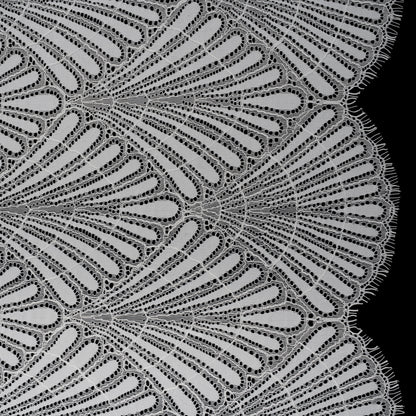 Corded Raschel Lace Panel with Finished Edges - Ivory Fan Palm Scallops