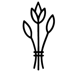 LINEN_c2e095c5-7ad9-4ec9-88c1-4e45d7190e1e