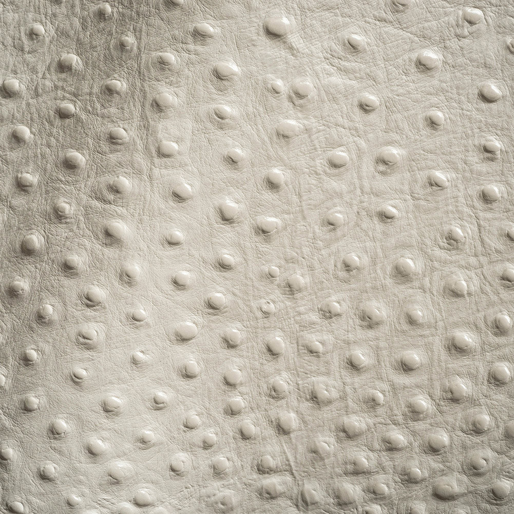 Shirley Italian Ivory Ostrich Embossed Semi-Aniline Top Grain Cow Leather Hide