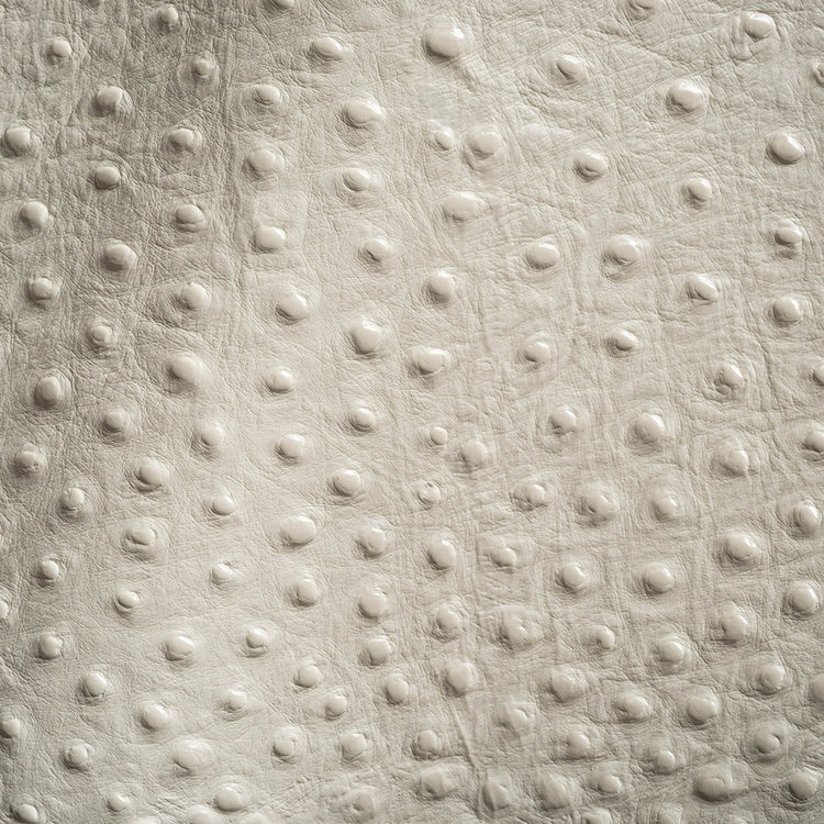 template--25868980813897__feature_collection_list_horizontal_tmckr6-Shirley Italian Ivory Ostrich Embossed Semi-Aniline Top Grain Cow Leather Hide