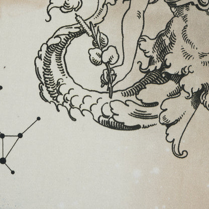 Stretch Cotton Sateen - Beige Celestial Birds - Apollo's Disguise Beige Print - Mood Exclusive Gaia Collection