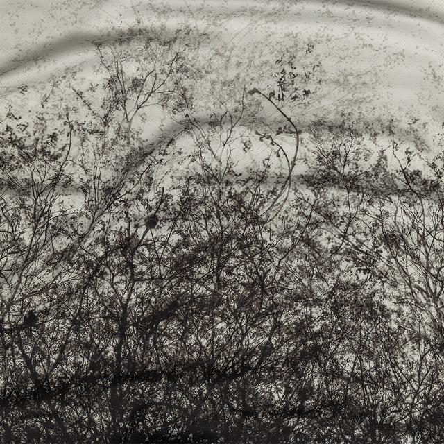 Rayon Challis Panel - Black and White Tree Branches - Old House Woods Print - Mood Exclusive Twilight Collection