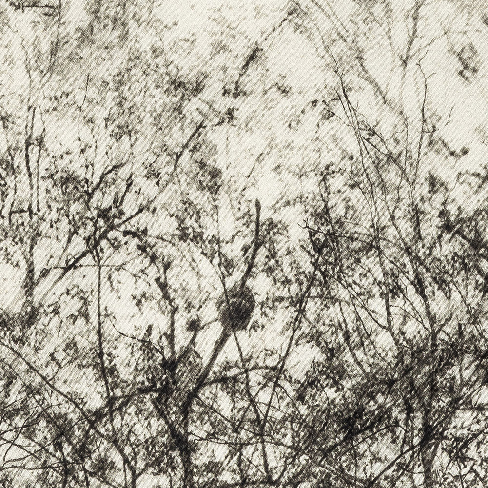 Stretch Cotton Sateen Panel - Black and White Tree Branches - Old House Woods Print - Mood Exclusive Twilight Collection Detail