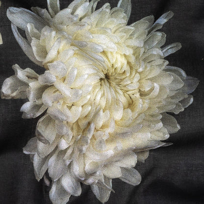 Cotton Voile - Pale Yellow and Black Floral - Maiden's Melancholy Print - Mood Exclusive Twilight Collection Detail