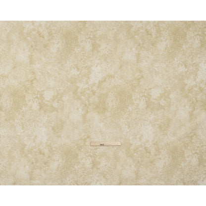 Stonehenge Quilting Cotton by Northcott - Desert Sand Abstract Texture - Basics Collection