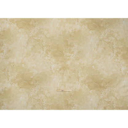 Stonehenge Wide Backing Quilting Cotton by Northcott, 108" Wide - Beige Abstract - Basics Wide Backing Collection