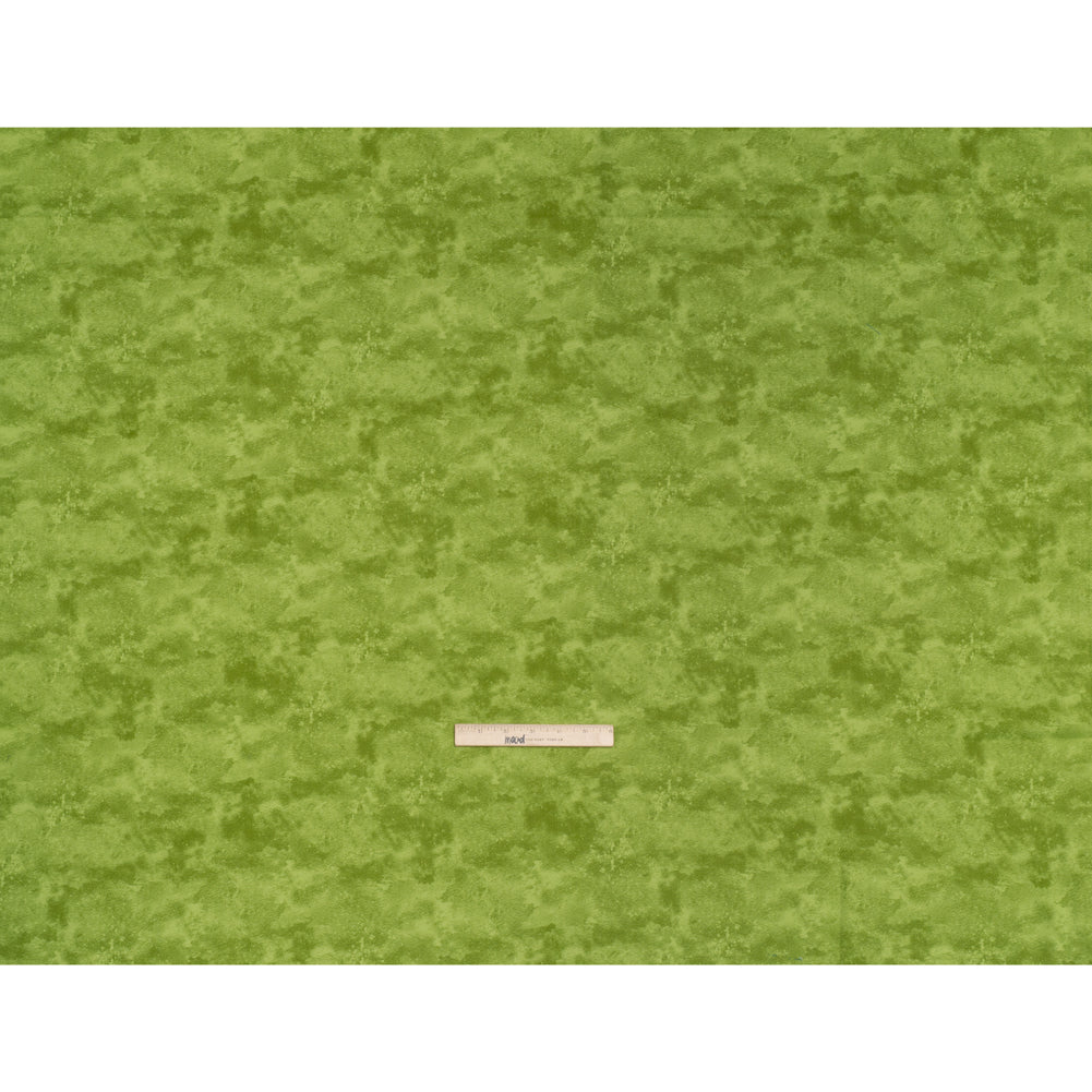 Printed Quilting Cotton by Deborah Edwards Northcott Studio - Aloe Vera Fresco Texture - Toscana Collection - Full - Image 5 of 6