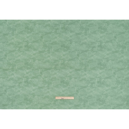 Printed Quilting Cotton by Deborah Edwards Northcott Studio - Sage Fresco Texture - Toscana Collection