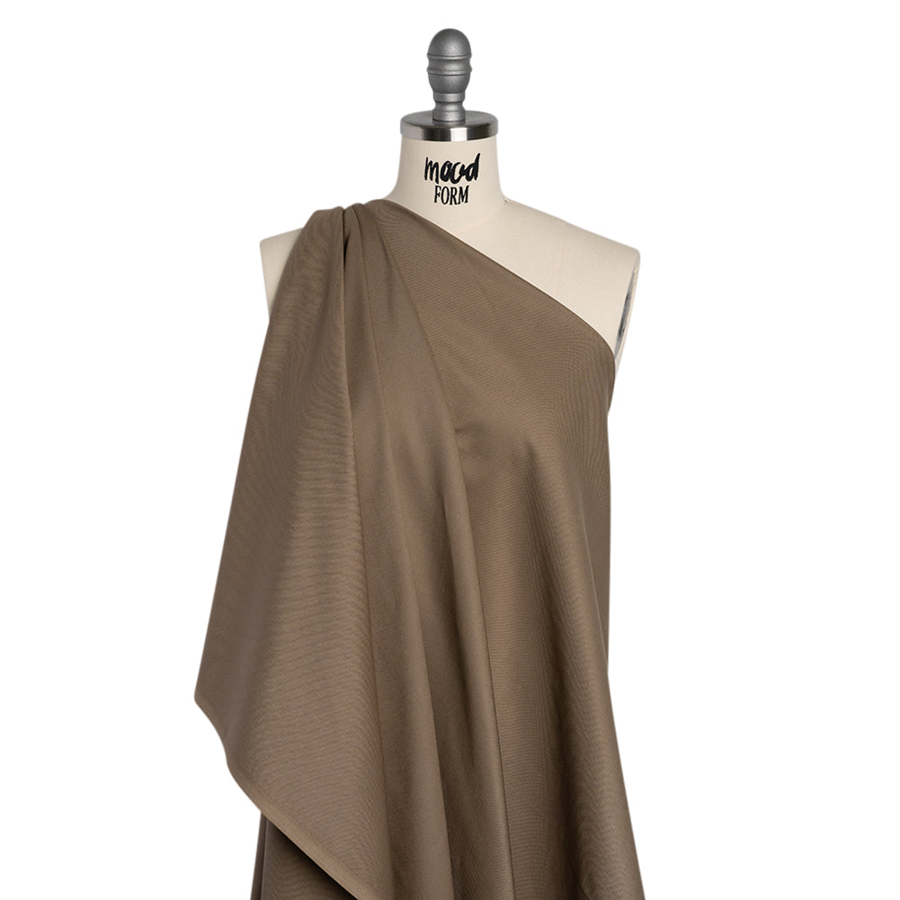 Premium Solid Quilting Cotton by Northcott - Teddy Bear - Colorworks Collection - Drape