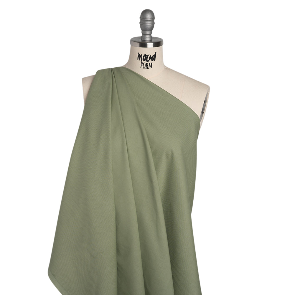 Premium Solid Quilting Cotton by Northcott - Dusty Sage - Colorworks Collection - Drape