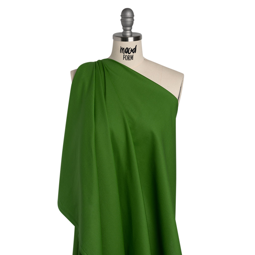Premium Solid Quilting Cotton by Northcott - Gecko - Colorworks Collection - Drape