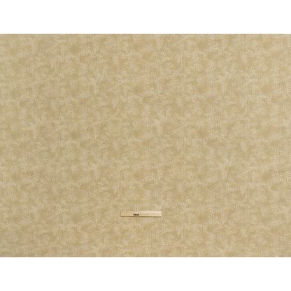 Quilting Cotton by Northcott - Taupe Textural Abstract - Crackle Collection