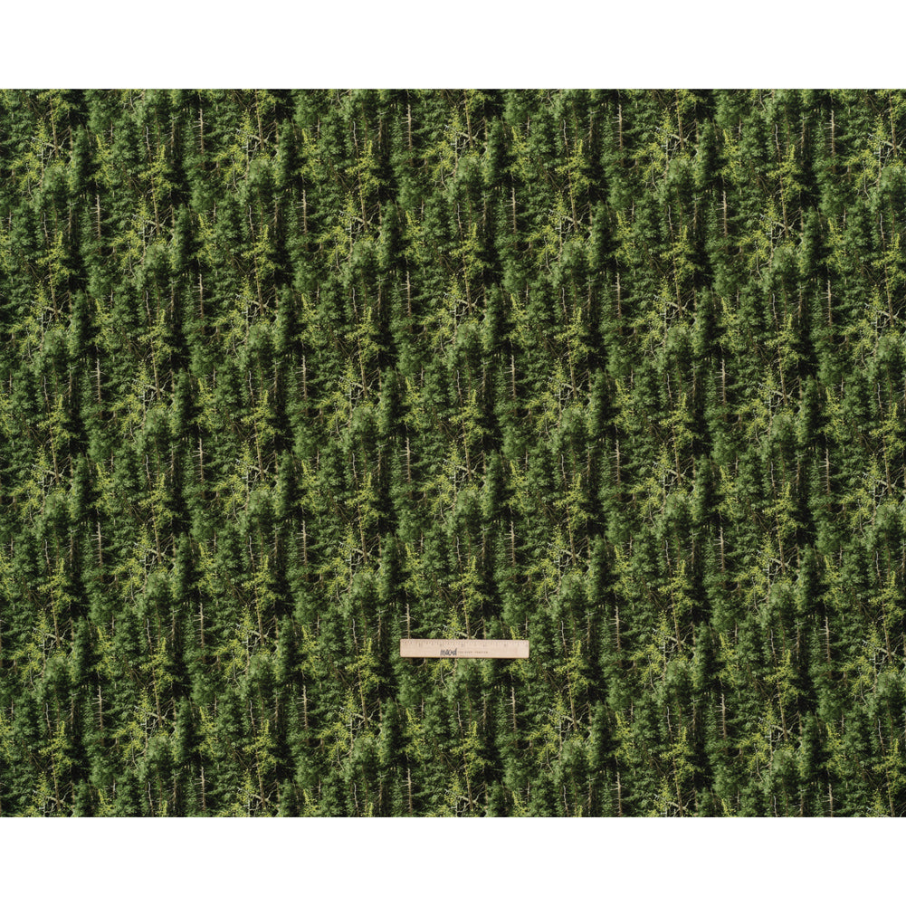 Printed Quilting Cotton by Northcott Studio - Mid Green Evergreen Trees - Naturescapes Collection Full