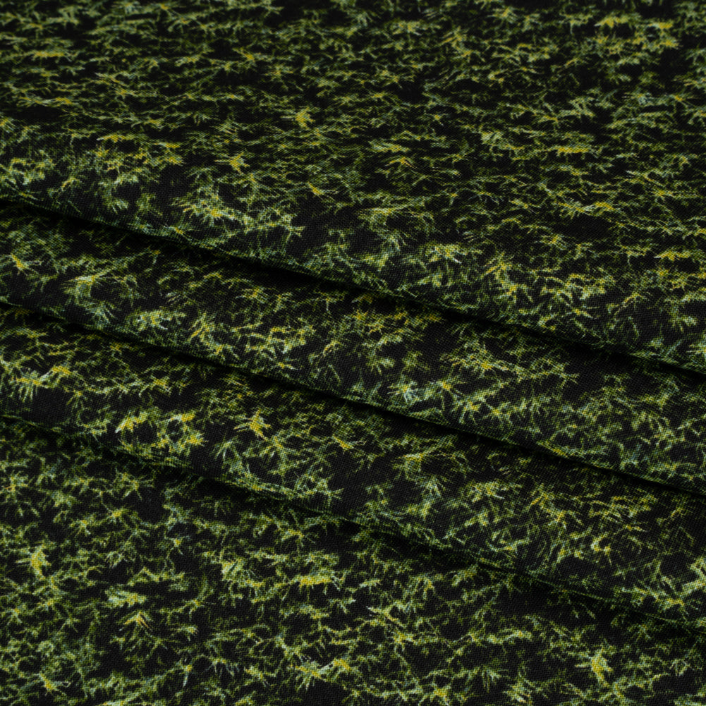 Printed Quilting Cotton by Northcott Studio - Dark Green Spruce - Naturescapes Collection - Folded