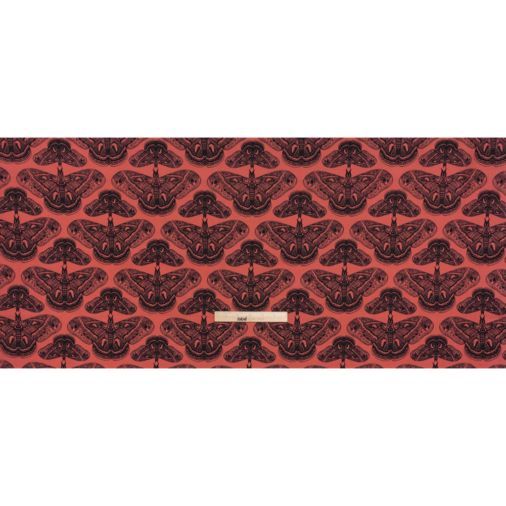 Printed Quilting Cotton by Anna Maria Textiles for Northcott - Guava Cecropia Moths - Indelible Ink Collection