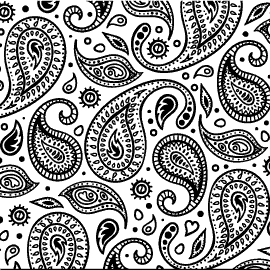 PAISLEY.webp