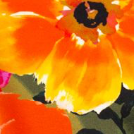 template--25729323368521__shop_by_project_3TNa6J-PRINTS