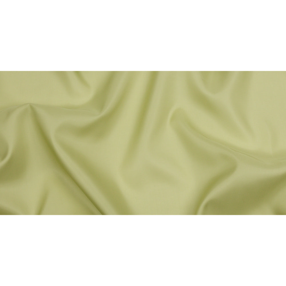 Silk Satin-Face Organza 54" - Nile Green - Premium Collection