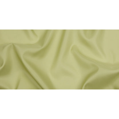 Silk Satin-Face Organza 54" - Nile Green - Premium Collection