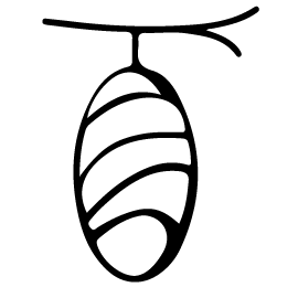 SILK_1a25698d-926a-49de-b9bf-d323a346a1b8