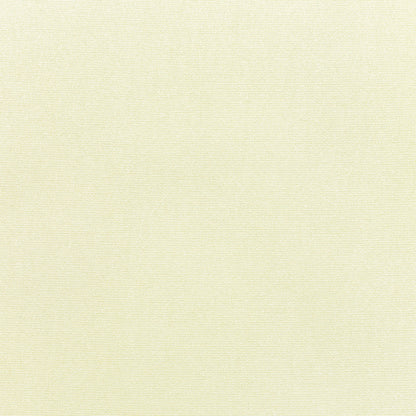 Standard Upholstery Canvas by Sunbrella - Natural