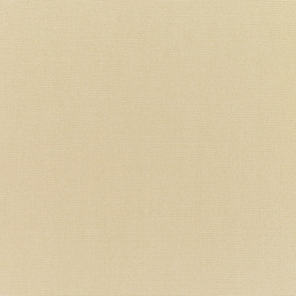 Standard Upholstery Canvas by Sunbrella - Antique Beige