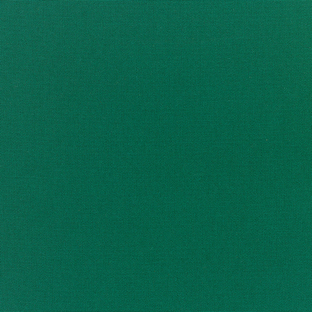 Standard Upholstery Canvas by Sunbrella - Forest Green