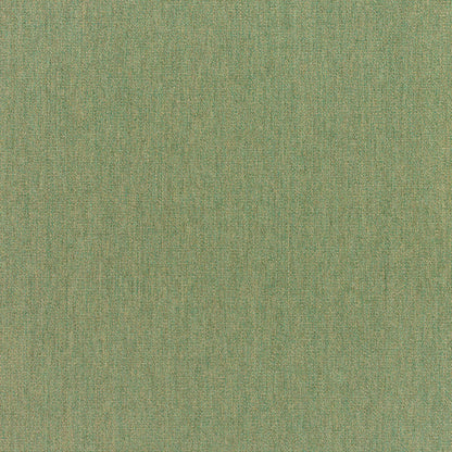 Standard Upholstery Canvas by Sunbrella - Fern