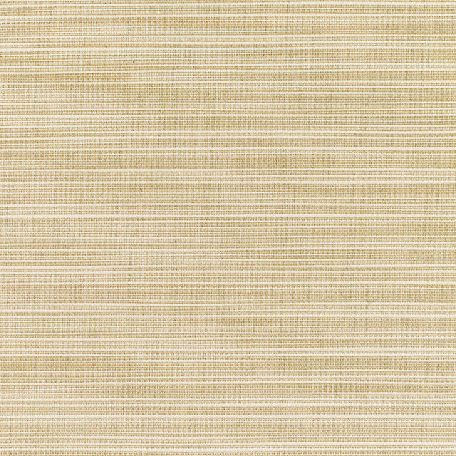 Upholstery Dupioni by Sunbrella - Sand