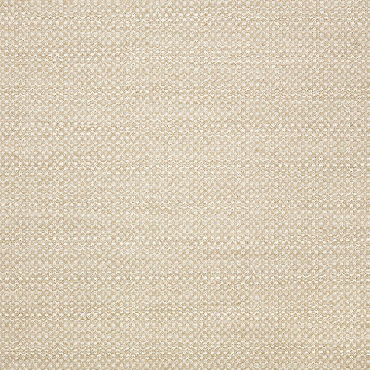 template--26688905969737__main-Action Upholstery Woven by Sunbrella - Linen
