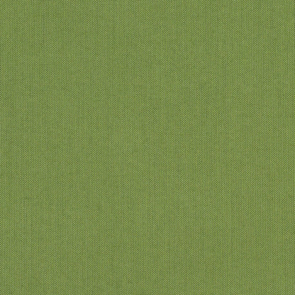 Spectrum Duo-Tone Woven by Sunbrella - Cilantro