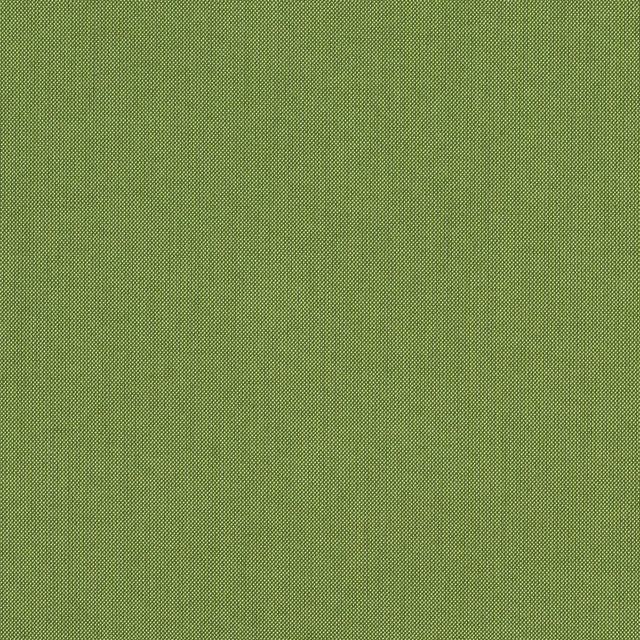 Spectrum Duo-Tone Woven by Sunbrella - Cilantro