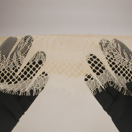 Raschel Lace Panel with Finished Edges - Buff Delicate Leafy Vines on Net