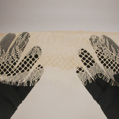 Raschel Lace Panel with Finished Edges - Buff Delicate Leafy Vines on Net