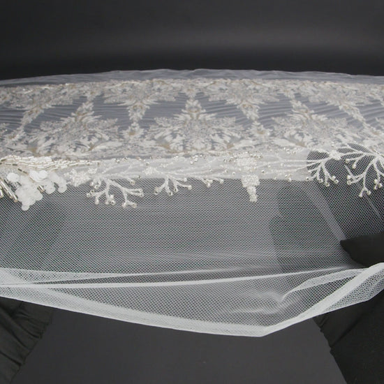 Embroidered Lace Tulle with Beads and Sequins - Off White and Silver Fancy Plants