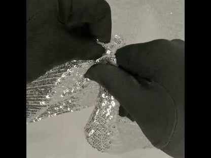 Silver Striped Circle Sequins over White Mesh