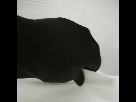 Soft Double Face Polyester Twill - Off White - Viola Collection - Image 6 of 6