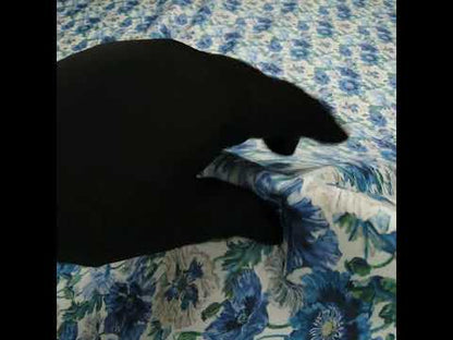 Liberty Fabrics Tana Lawn® - Poppy Amelie Blue - Sky, Cobalt Blue and Green Poppy Flower Field
