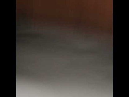 Stretch Ponte Knit - Chocolate - Papilio Collection