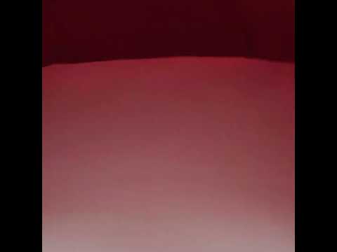 Polyester Taffeta - Plain Dyed Tango Red - Bellamy Collection