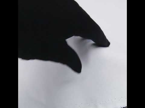 White Lightweight Cotton Buckram