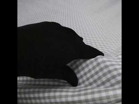 Cotton Gingham 0.25" - Gray - Londrina Collection