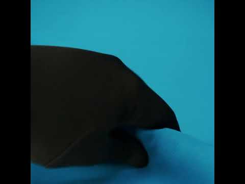 Stretch Ponte Knit - Ocean Blue - Papilio Collection