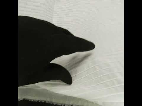 Famous Australian Designer White Pintucked Cotton Lawn