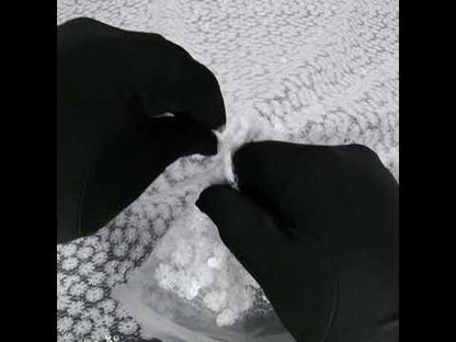 White Daisy Embroidered Netting with Clear Baby Sequins