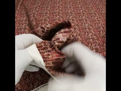 Printed Quilting Cotton by Northcott Studio - Rust Red Brick - Naturescapes Collection