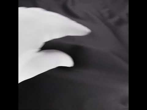 Charcoal Cotton Twill