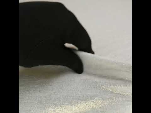 Metallic Foiled Uneven Stretch Rib Knit - Gold on Ivory - Estelle Collection - Image 6 of 6